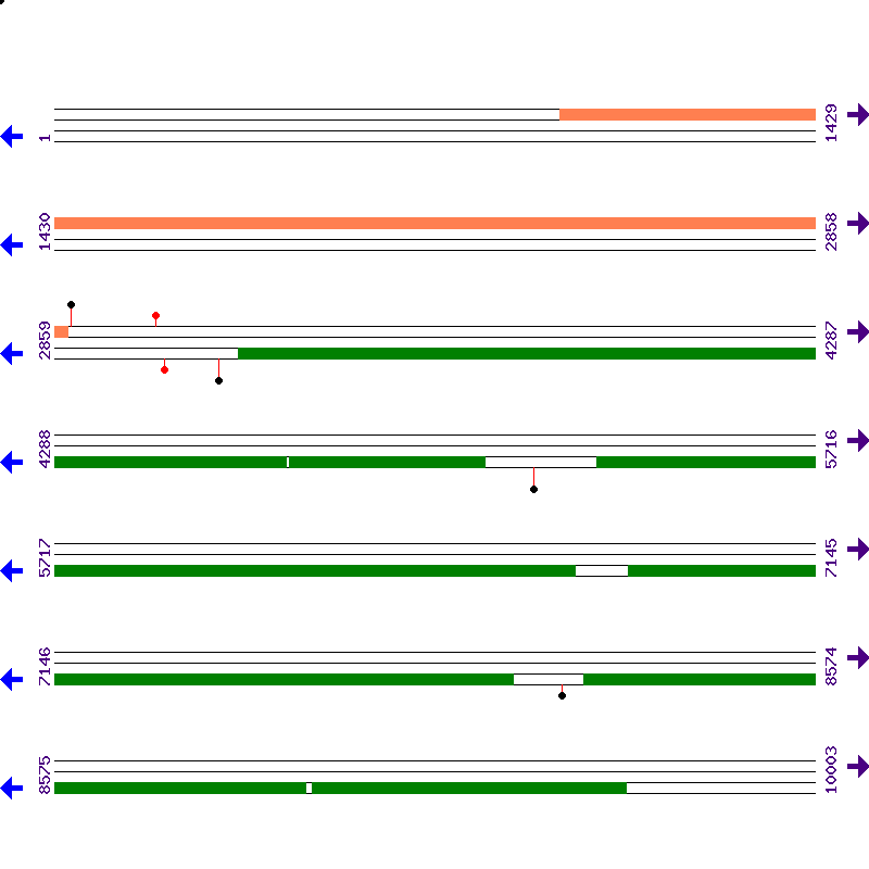 Genome View