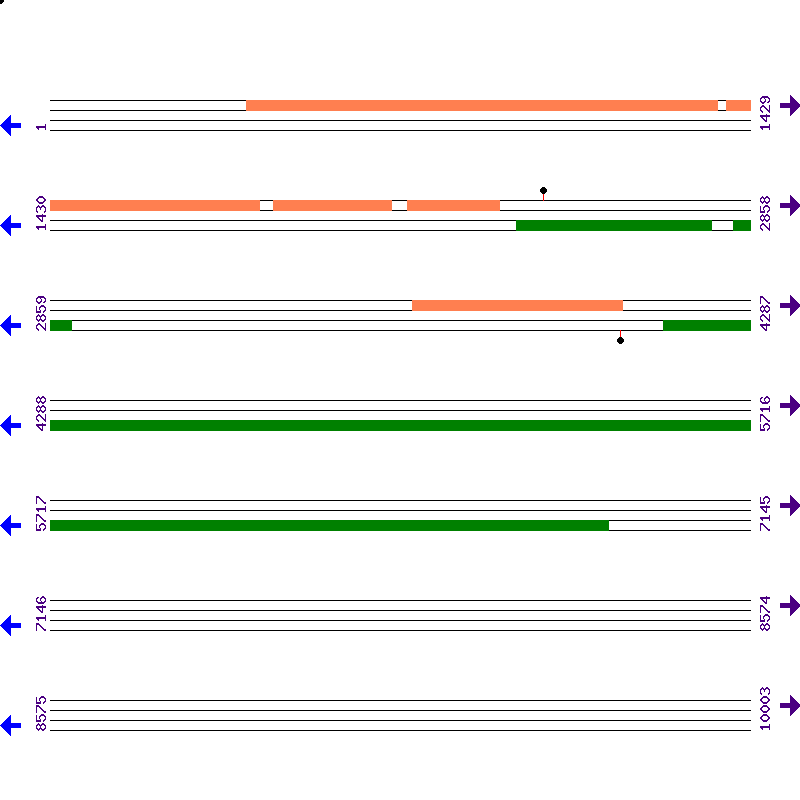 Genome View