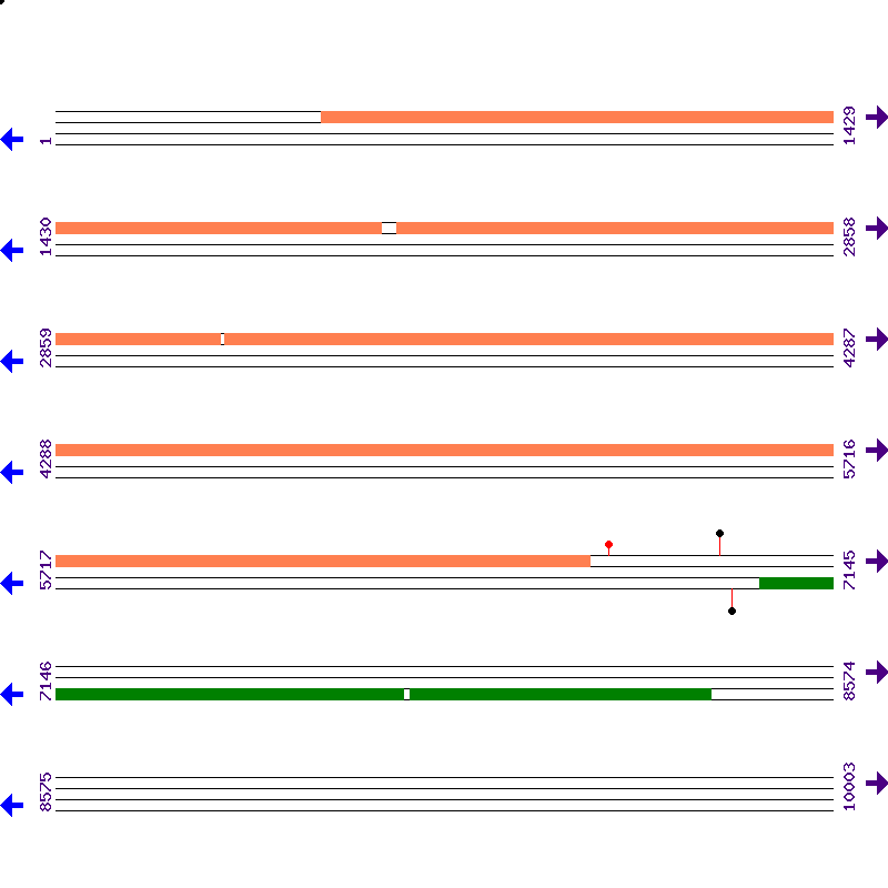 Genome View