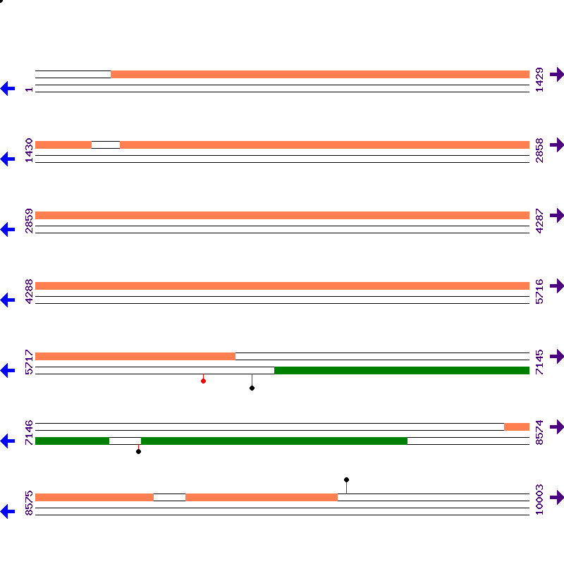 Genome View