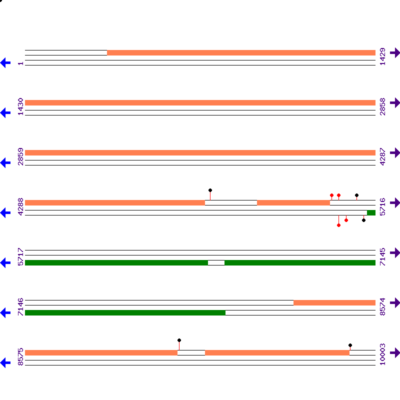 Genome View