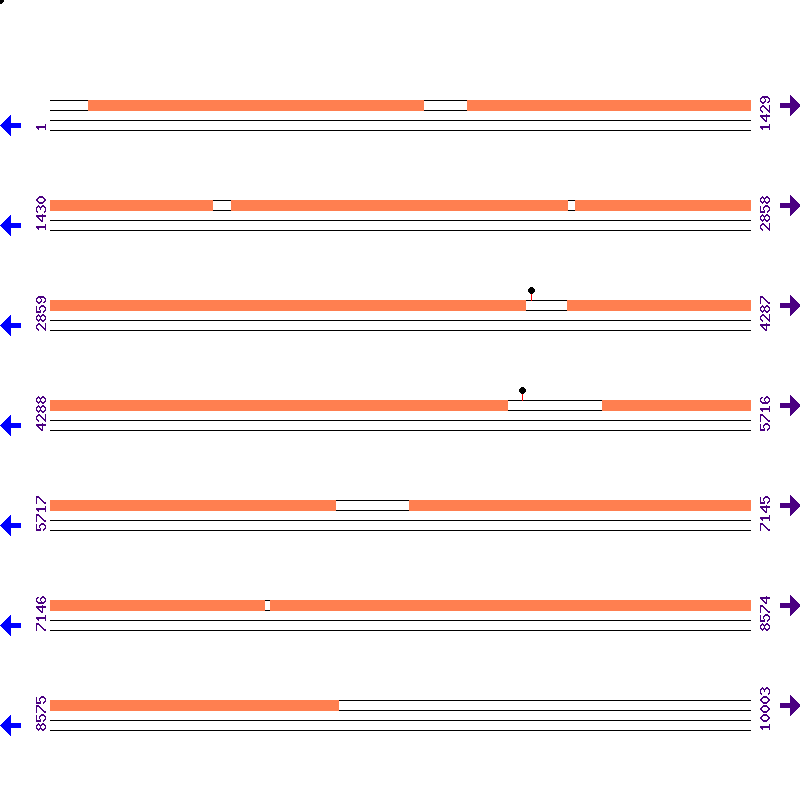 Genome View