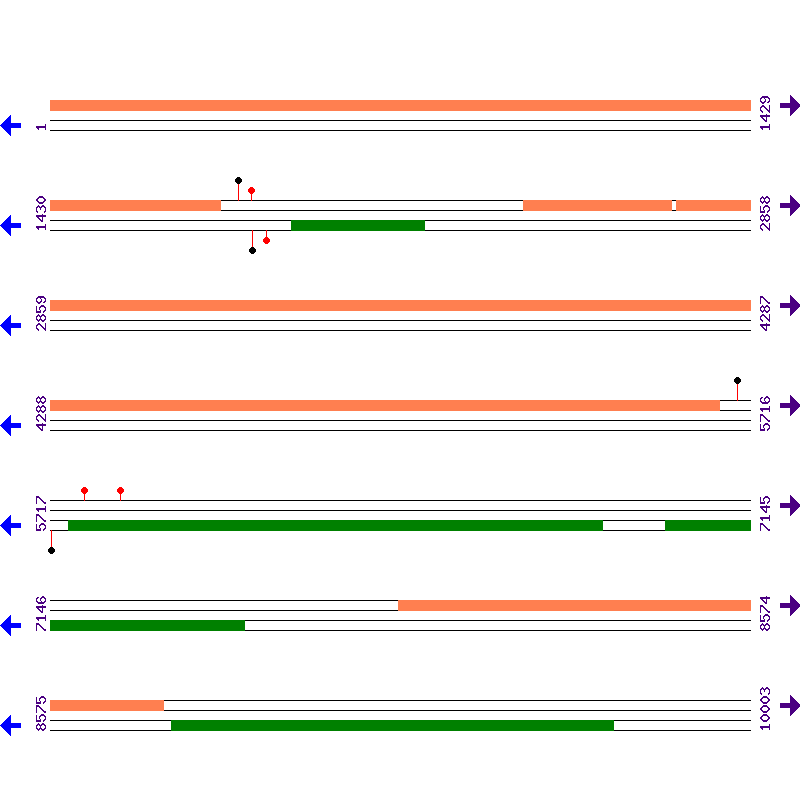 Genome View