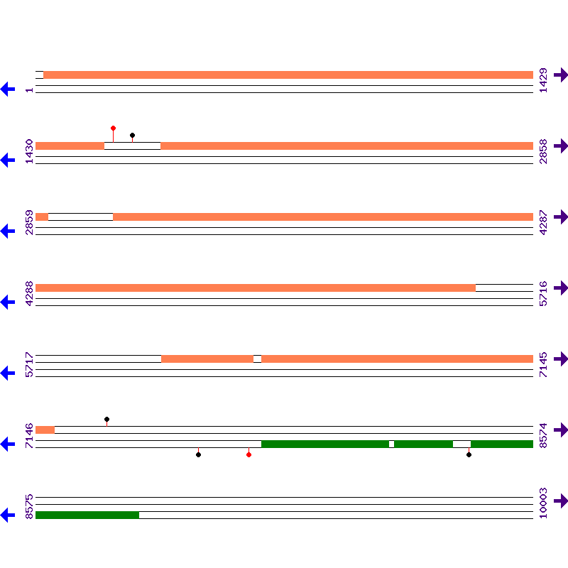 Genome View