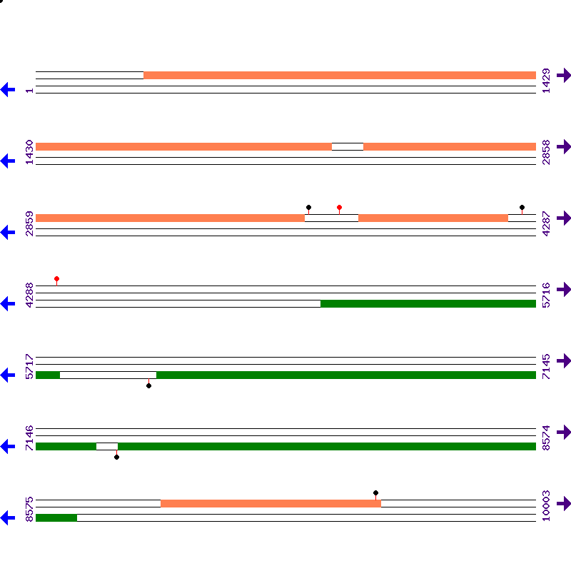 Genome View