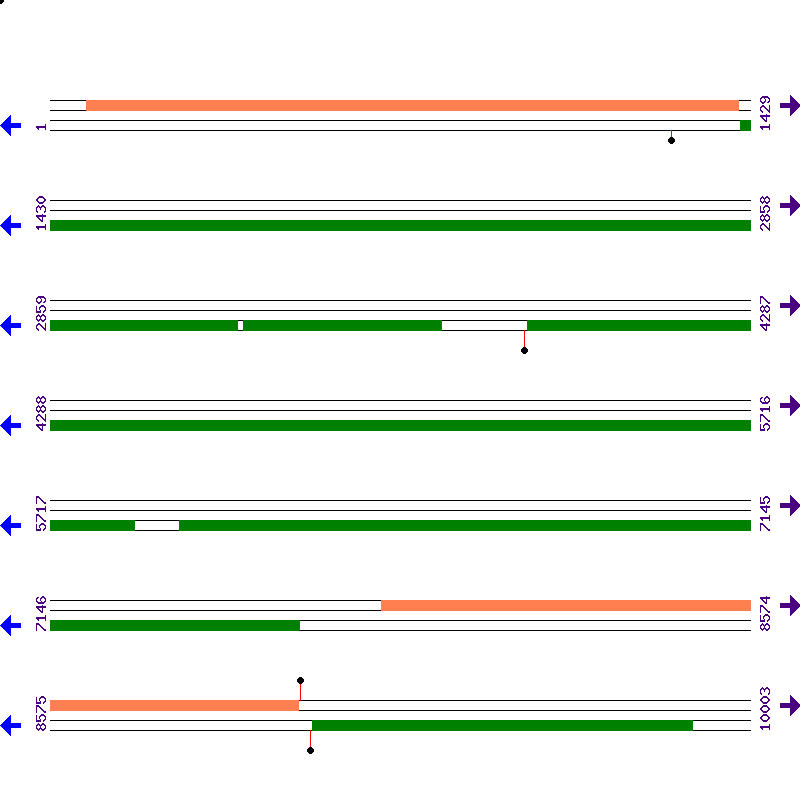 Genome View