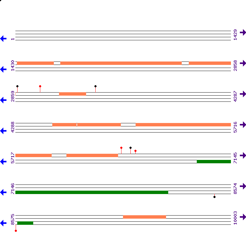 Genome View