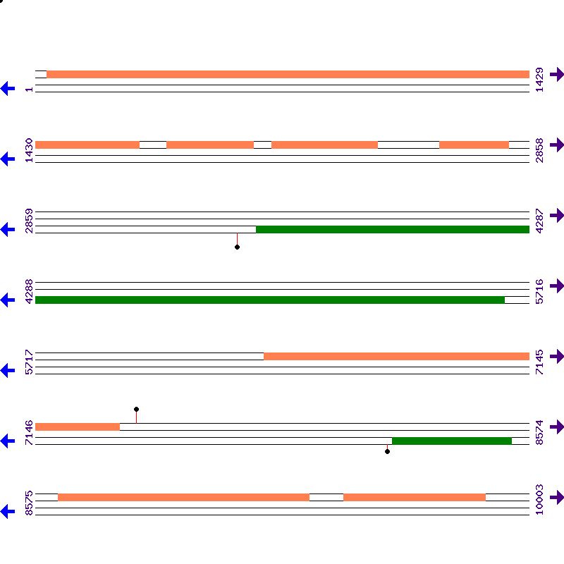 Genome View