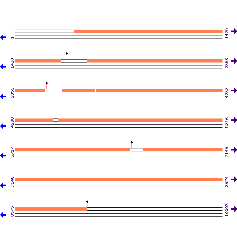 Genome View