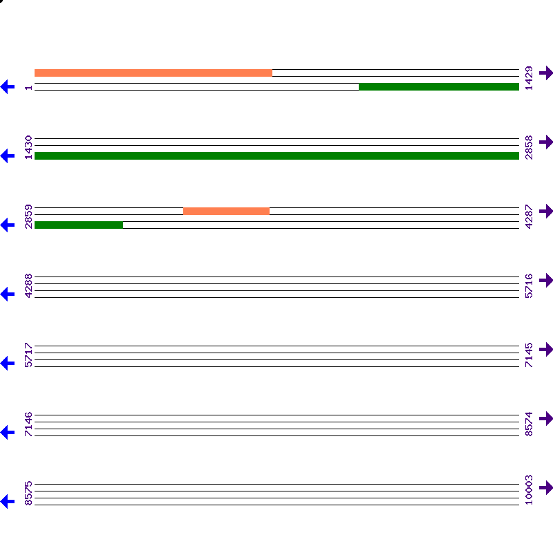 Genome View