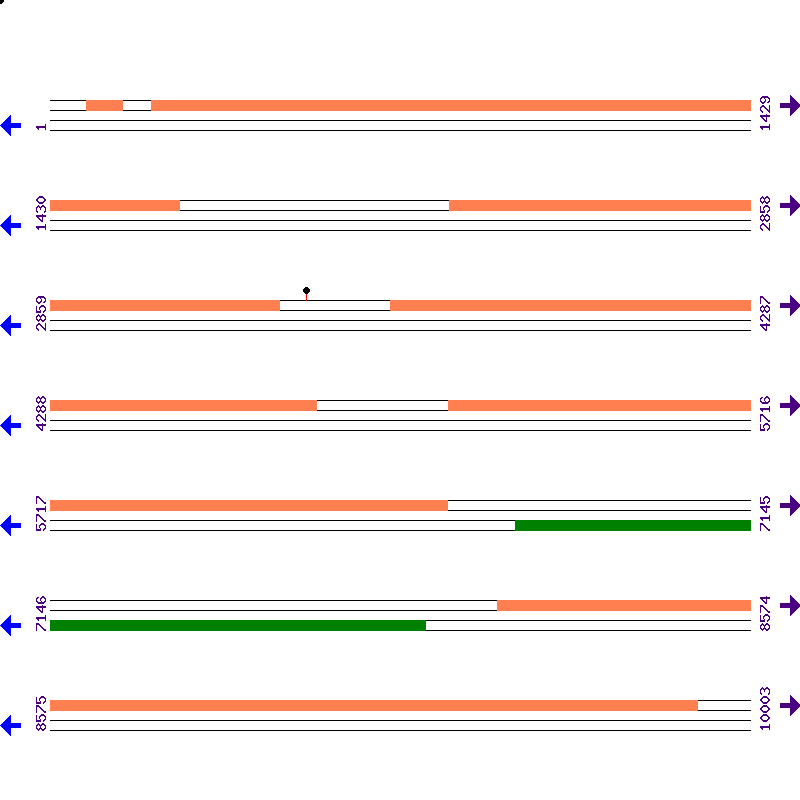 Genome View