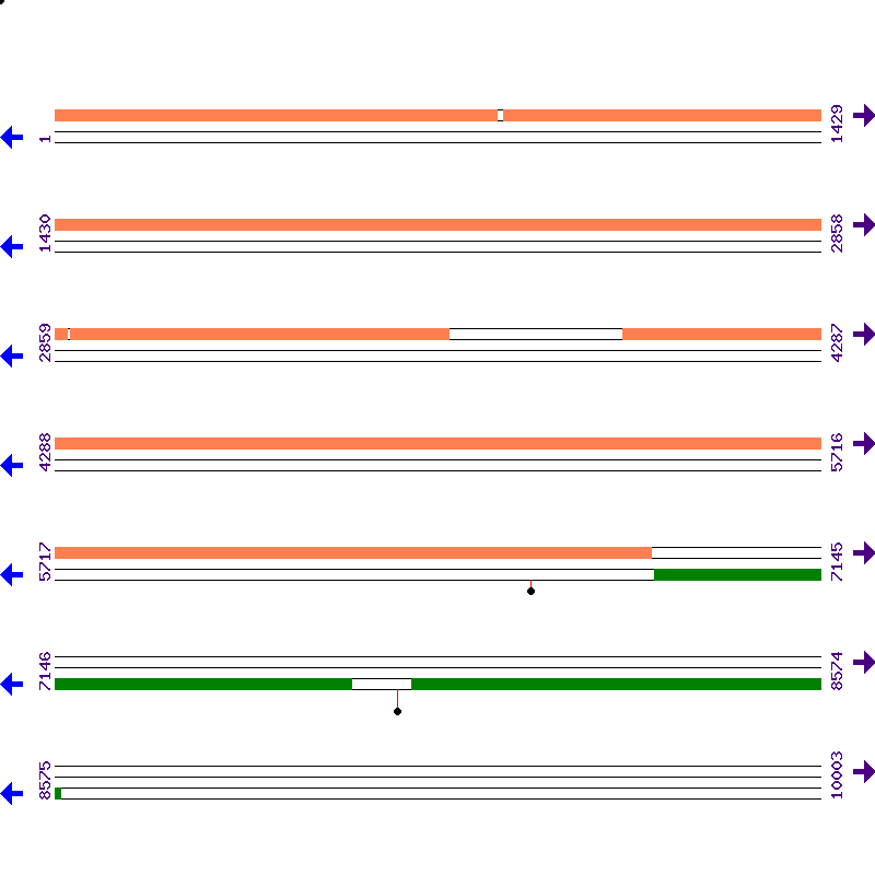 Genome View