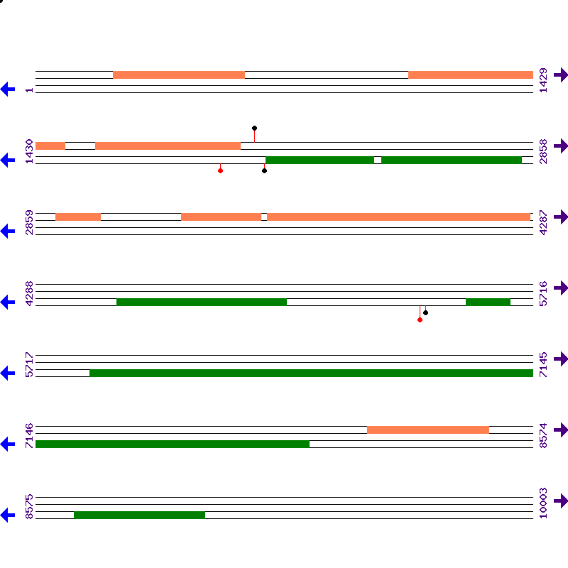 Genome View