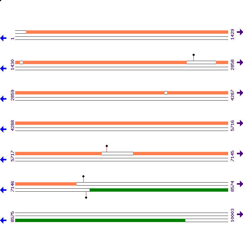 Genome View