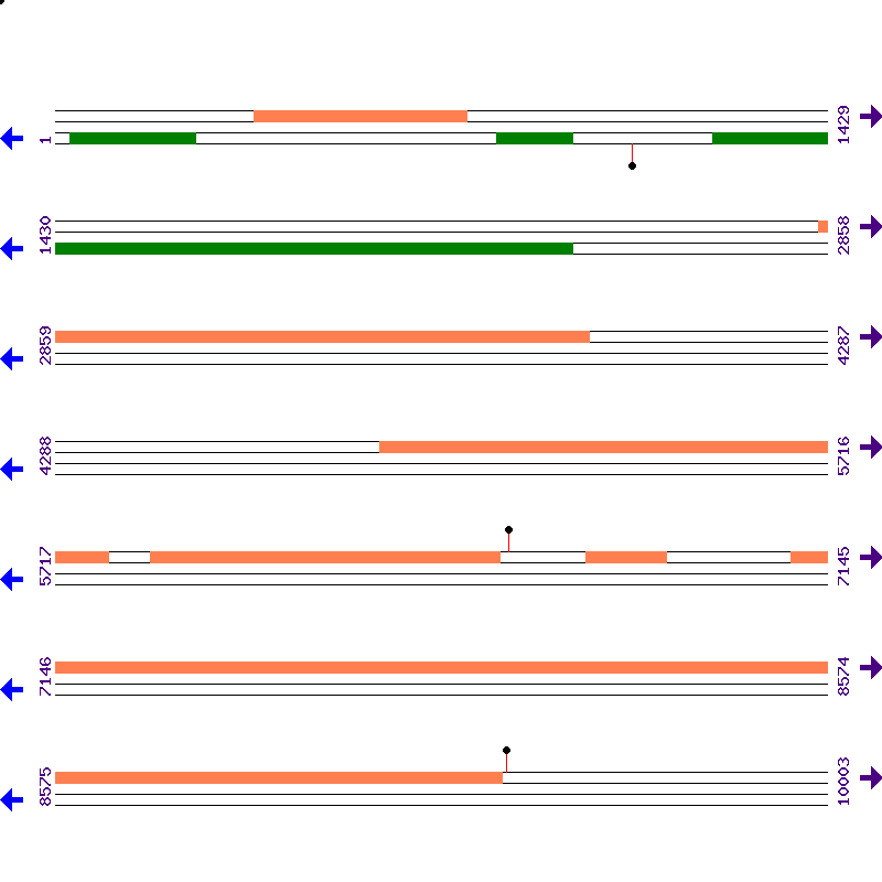 Genome View