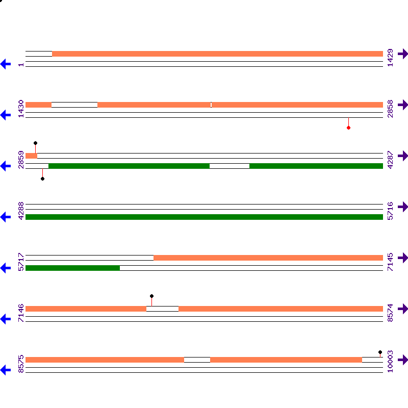 Genome View