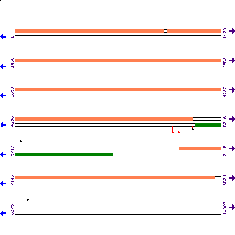 Genome View