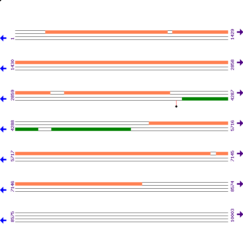 Genome View