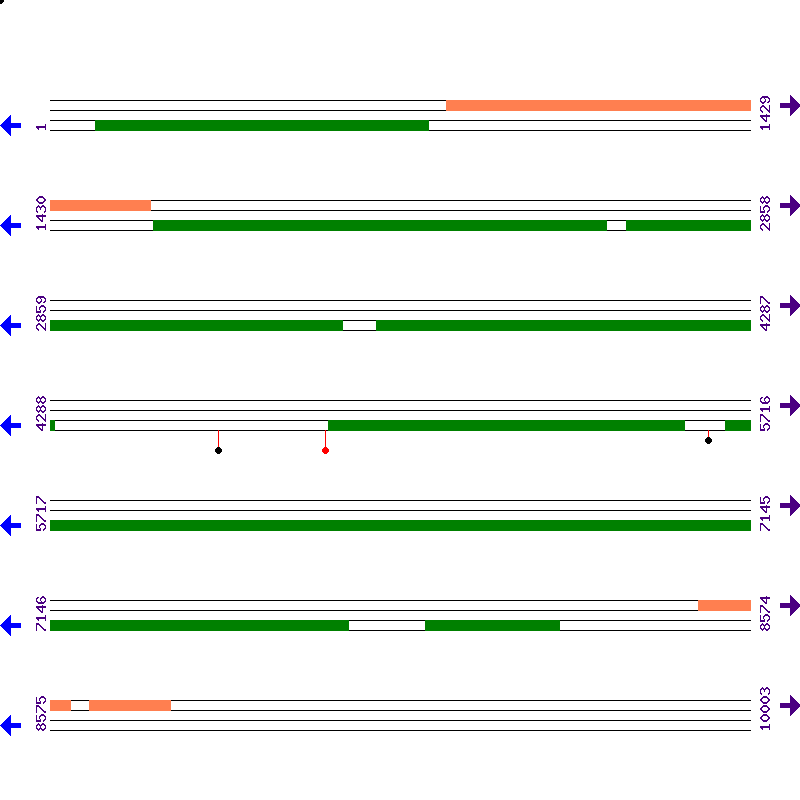 Genome View