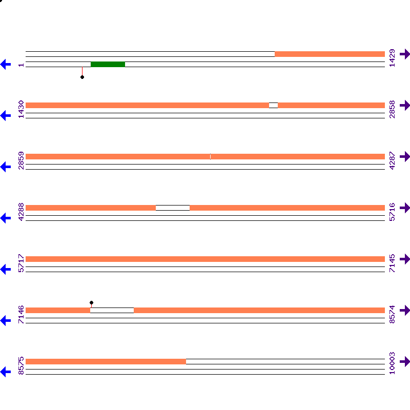 Genome View