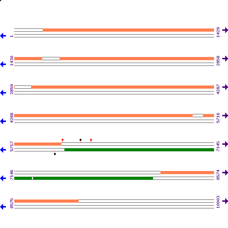 Genome View