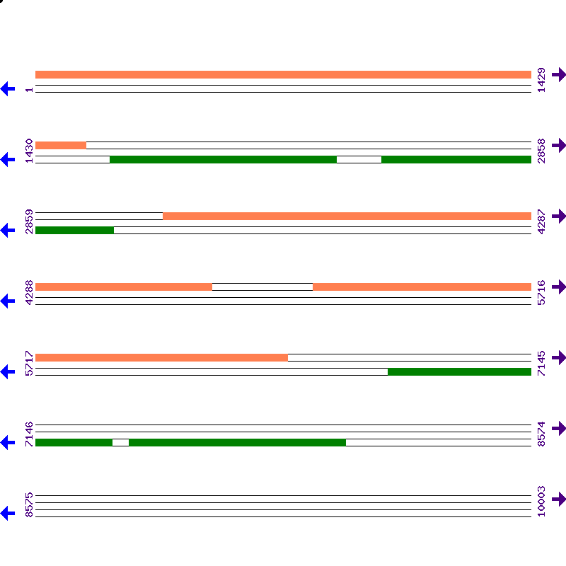 Genome View