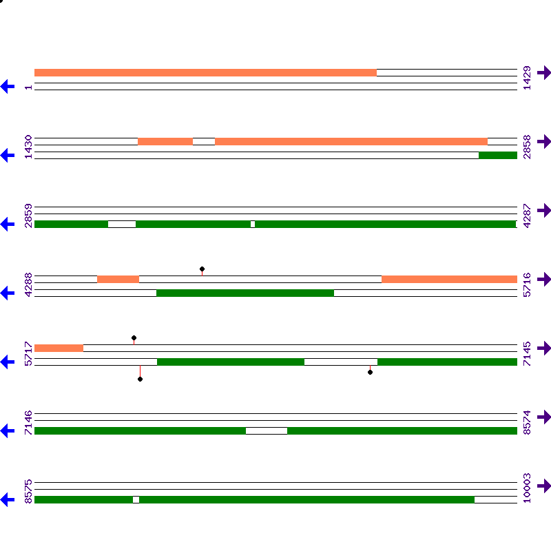 Genome View