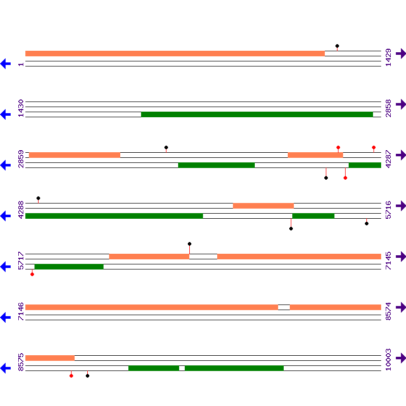 Genome View