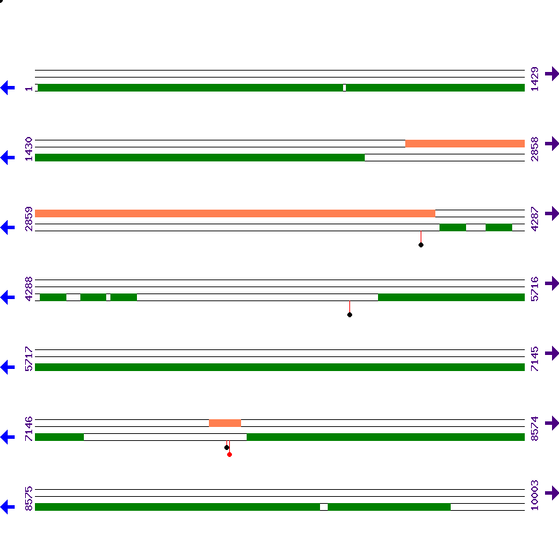 Genome View