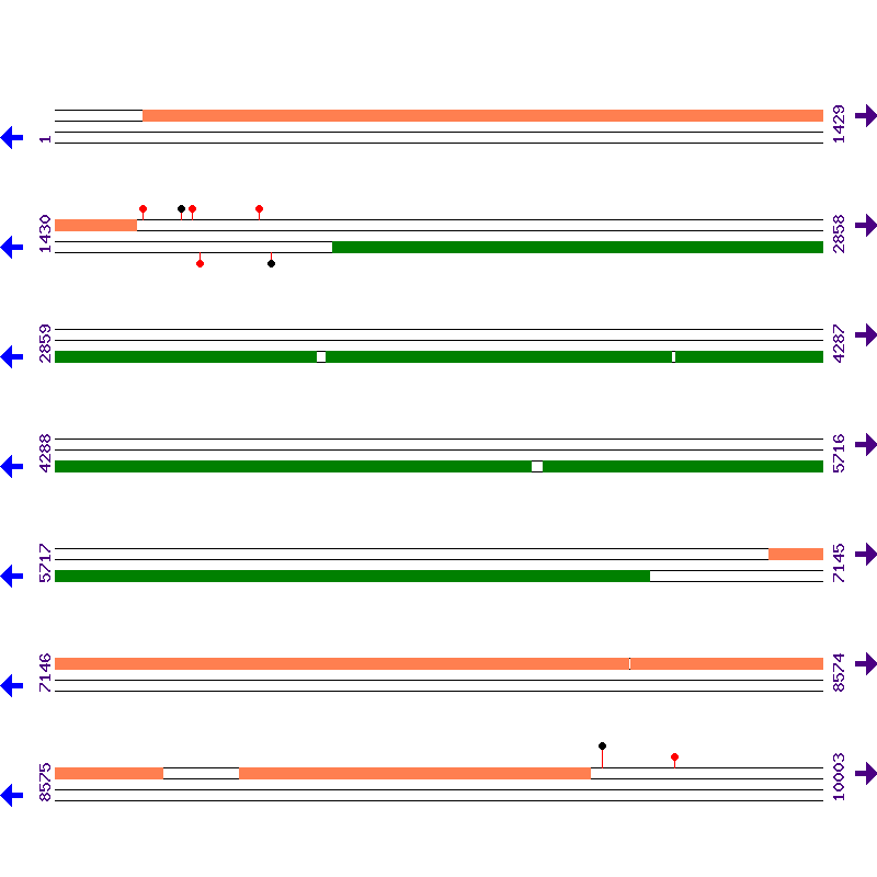 Genome View