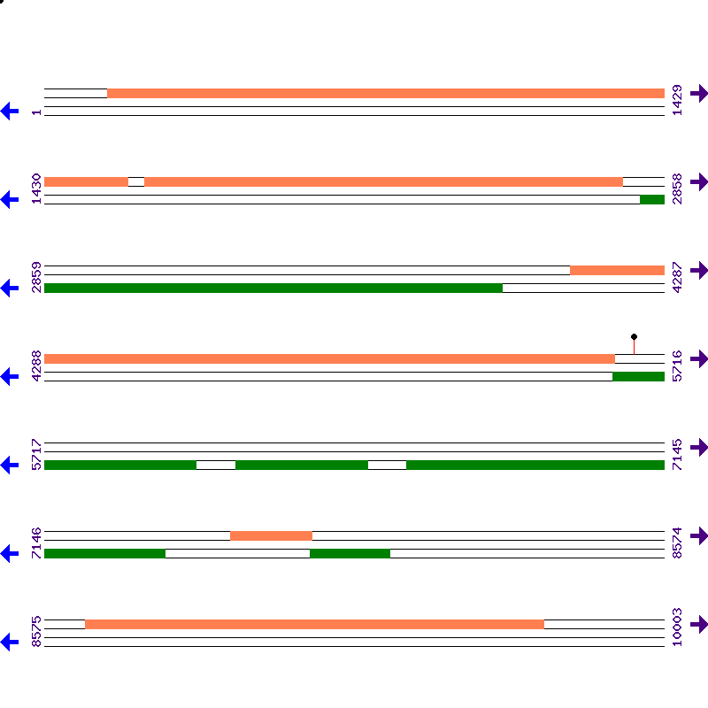 Genome View