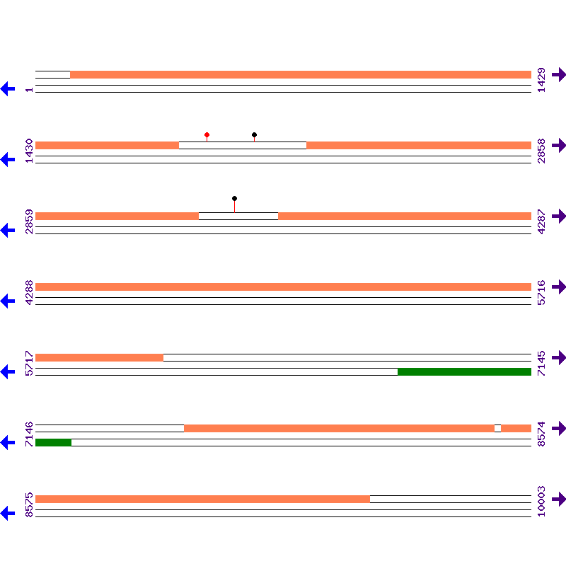 Genome View