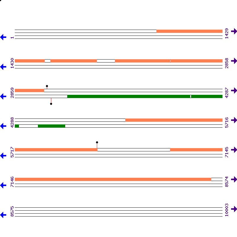 Genome View