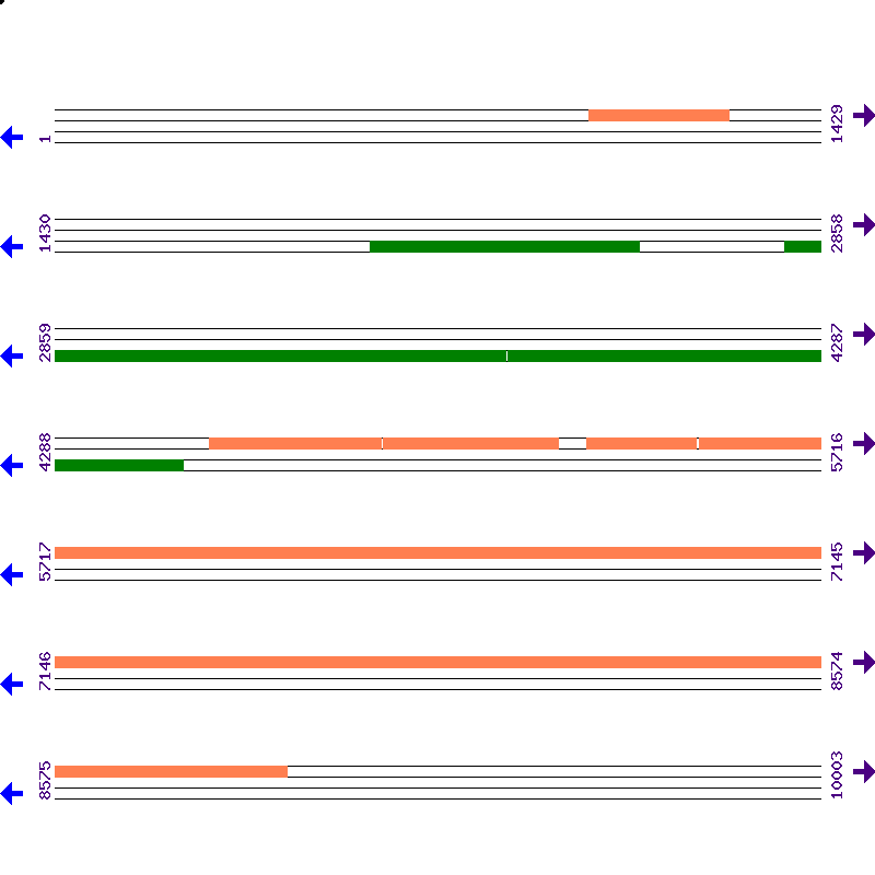 Genome View