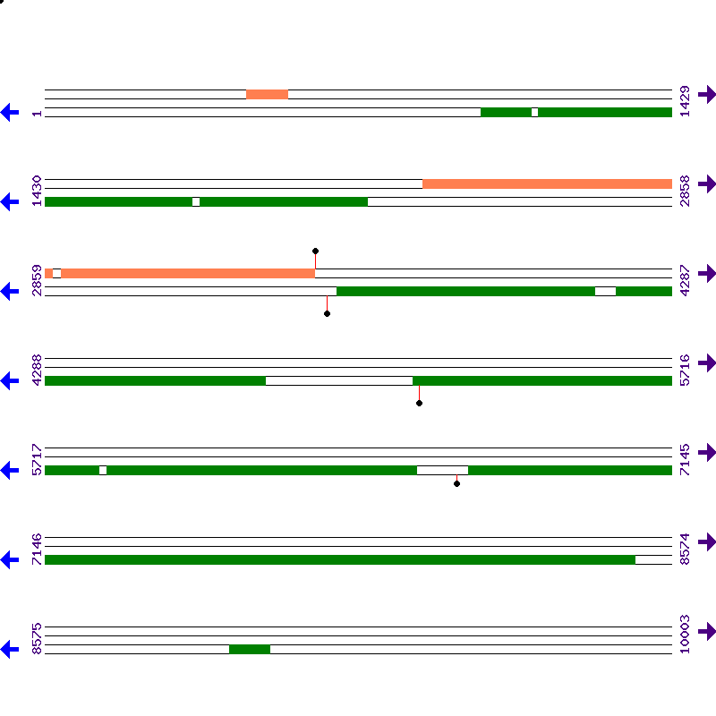 Genome View