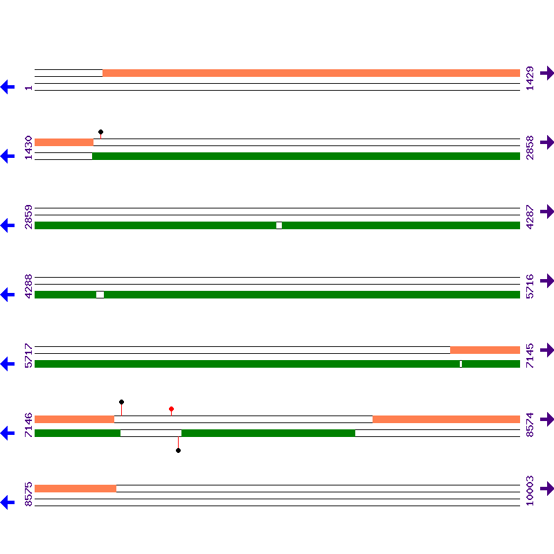 Genome View