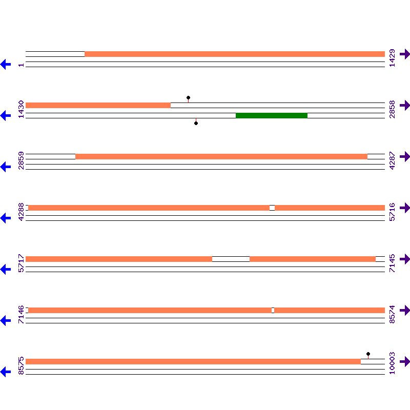 Genome View