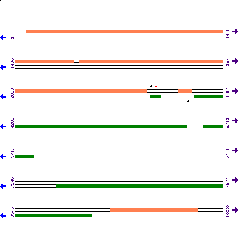 Genome View