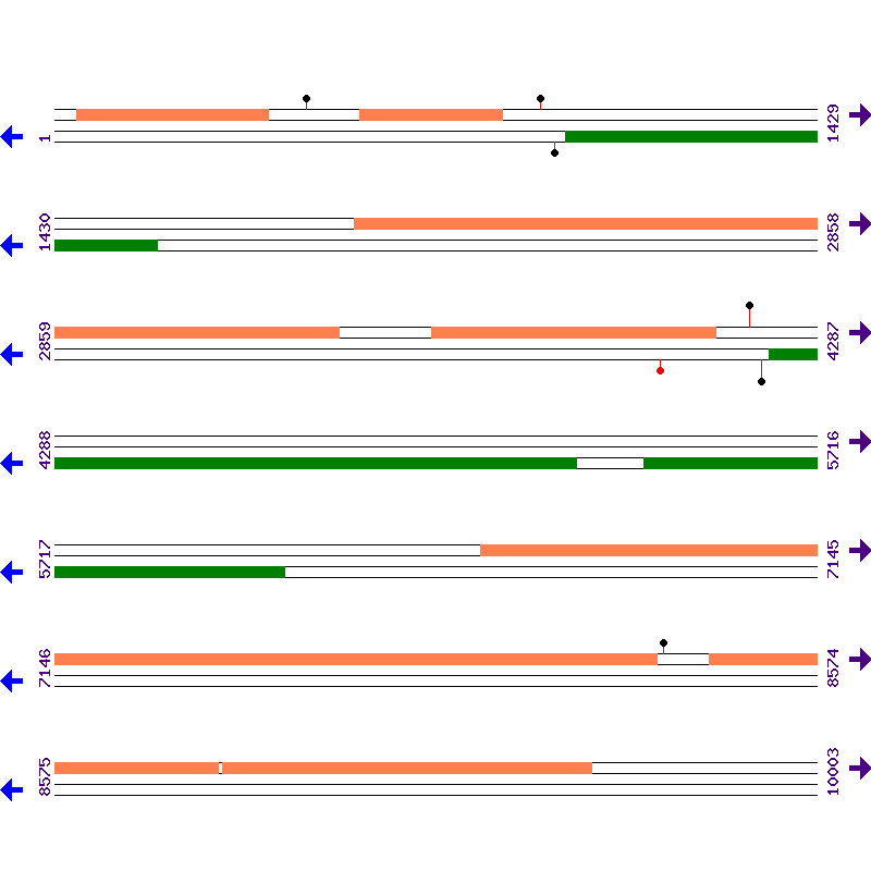 Genome View