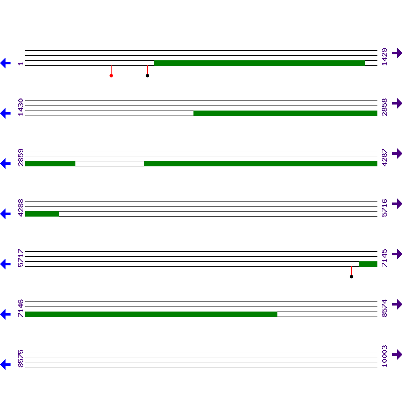 Genome View