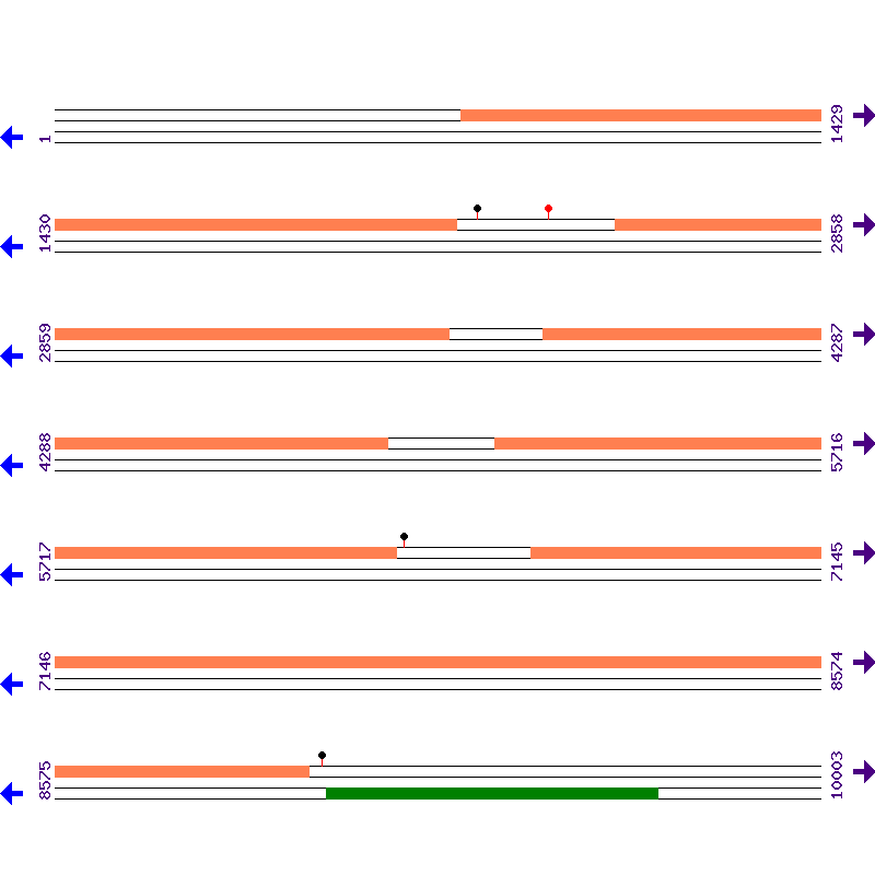 Genome View
