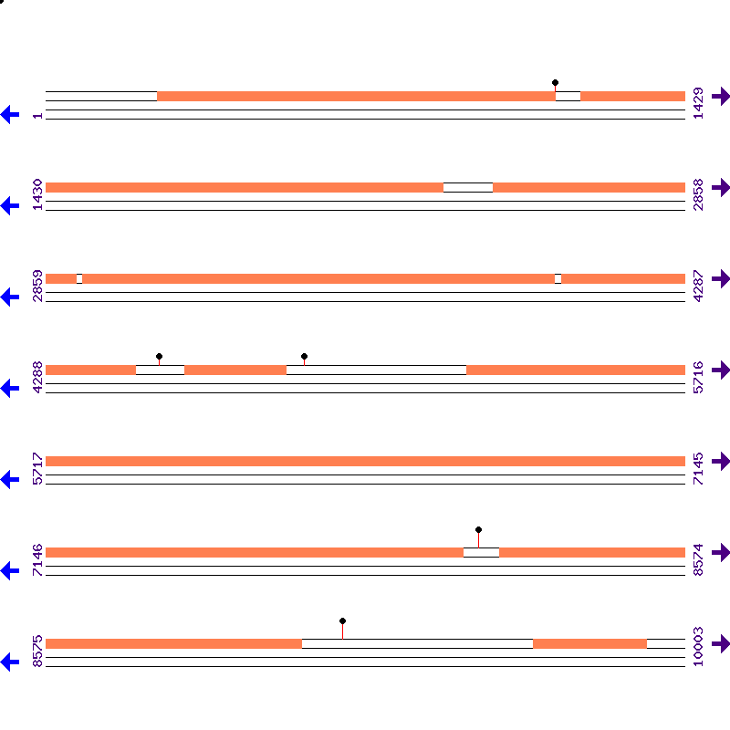Genome View