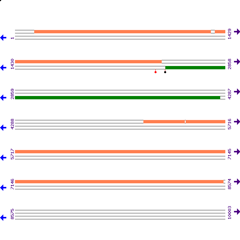 Genome View