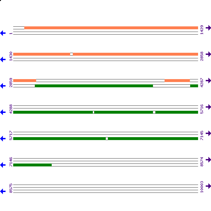 Genome View