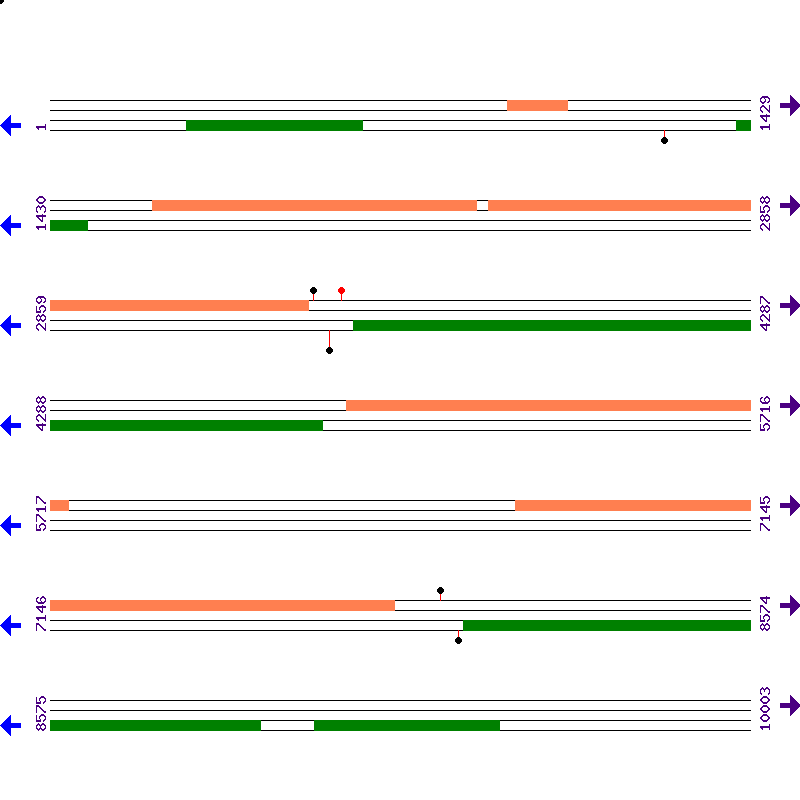 Genome View