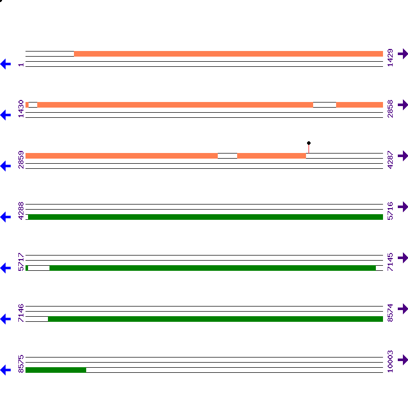 Genome View