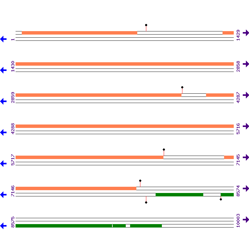 Genome View
