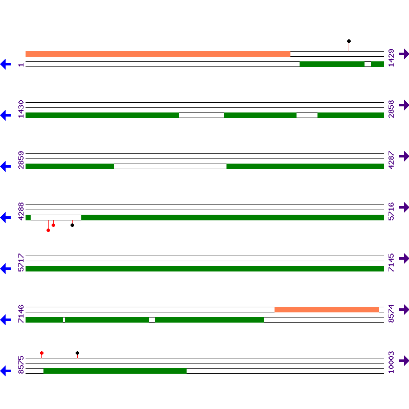 Genome View