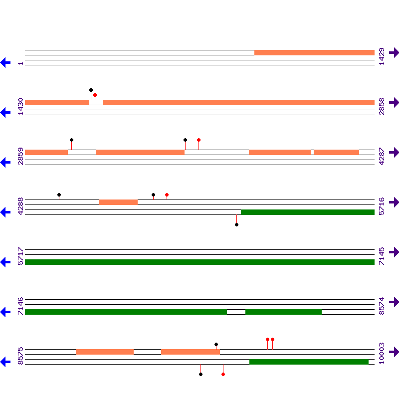 Genome View