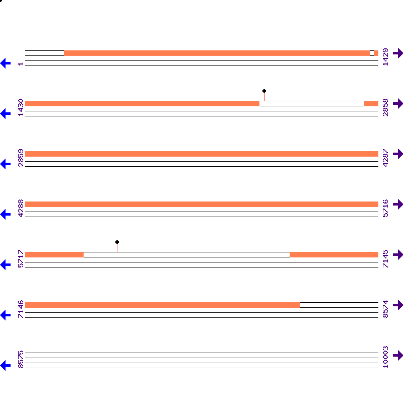 Genome View